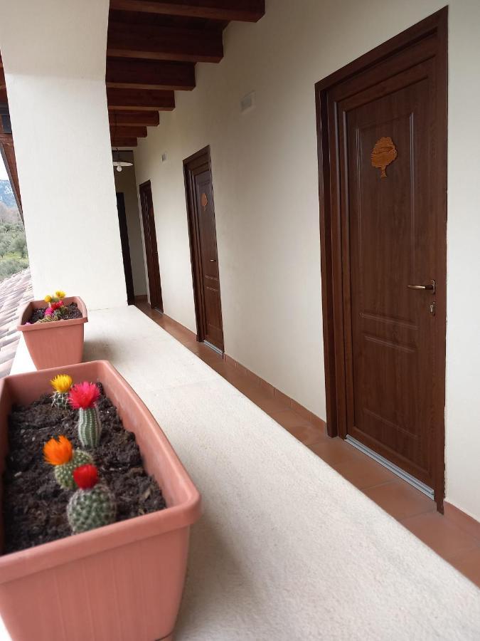 Agriturismo L'Ulivo Padula Zewnętrze zdjęcie