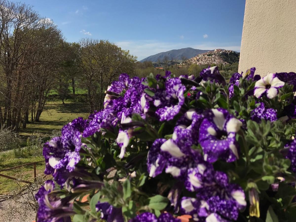 Agriturismo L'Ulivo Padula Zewnętrze zdjęcie