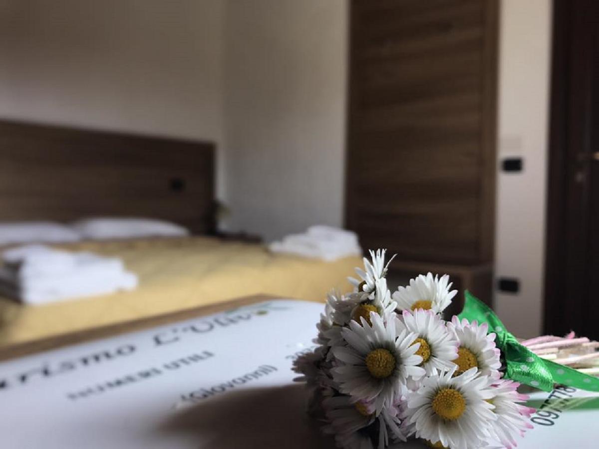 Agriturismo L'Ulivo Padula Zewnętrze zdjęcie
