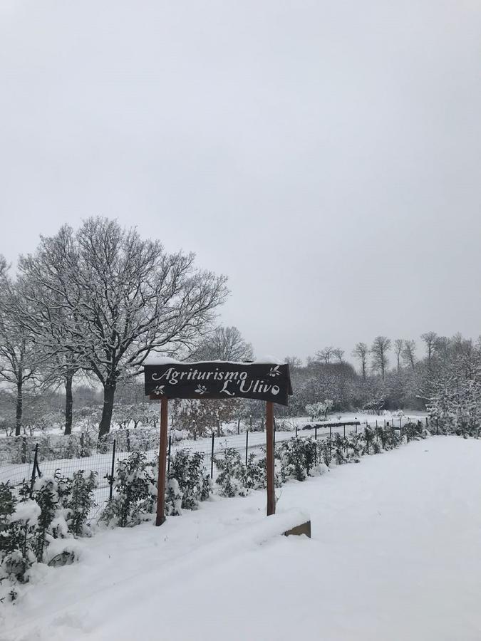 Agriturismo L'Ulivo Padula Zewnętrze zdjęcie