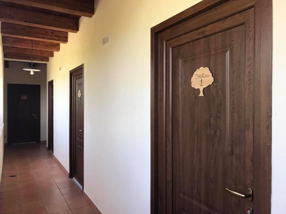 Agriturismo L'Ulivo Padula Zewnętrze zdjęcie